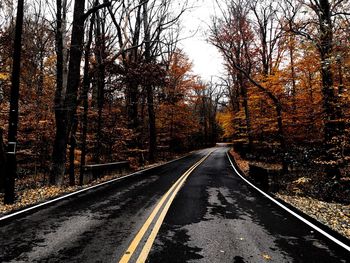 Road amidst trees against sky during autumn