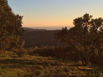 Scenic view of landscape against sky at sunset