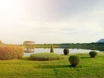 Scenic view of lake against sky