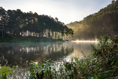 Scenic view of lake in forest against sky