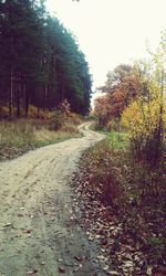 Road amidst trees in forest against clear sky