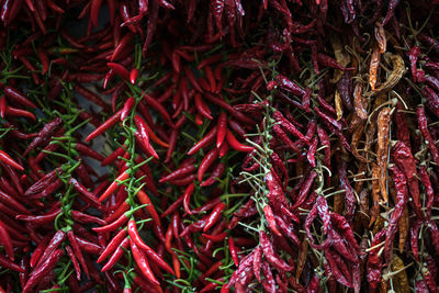 Full frame shot of red chili peppers