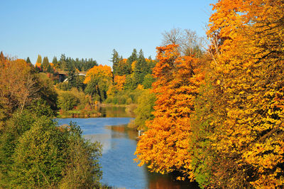 Scenic view of autumnal trees by lake against sky