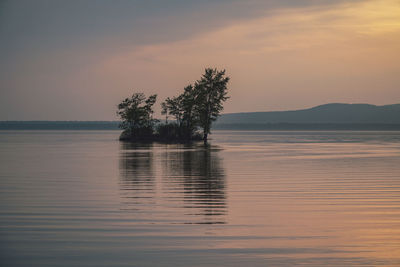 Silhouette tree by lake against sky during sunset