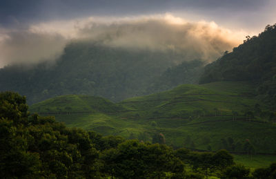 Scenic view of green landscape against sky