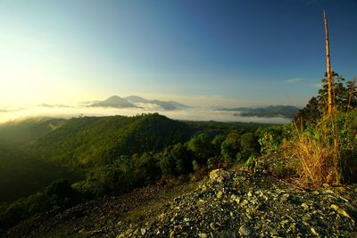 Scenic view of landscape against cloudy sky