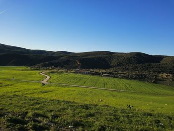 Bratuful landscape of the countryside of guelma, algeria with cloudy sky and green trees and grass