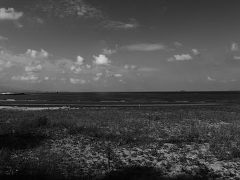 Scenic view of sea and field against sky