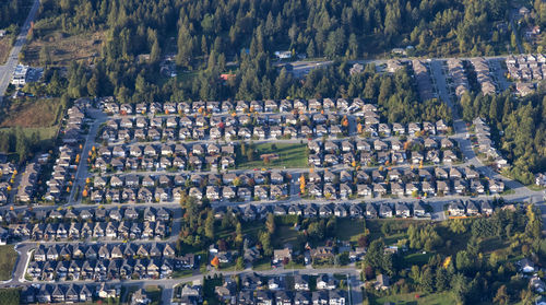 High angle view of trees and buildings in town