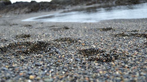 Close-up of pebbles on beach