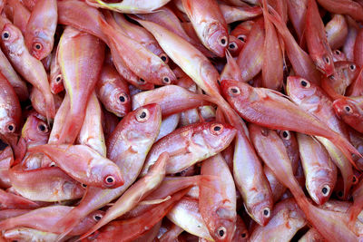 Full frame shot of fish for sale in market