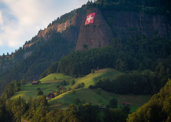 Scenic view of landscape