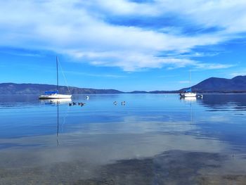 Lakeport ca marina view of sail boats on clearlake against mt konocti volcano in background.