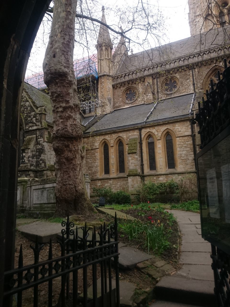 TREES AND HISTORIC BUILDING