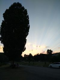 Silhouette of trees against sky during sunset