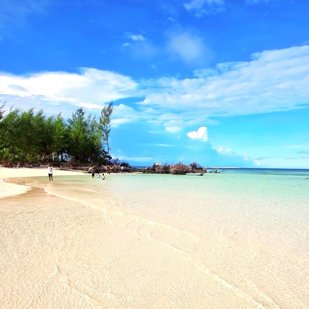 beach, sand, sky, tranquil scene, tranquility, shore, sea, water, scenics, beauty in nature, blue, tree, cloud - sky, nature, cloud, incidental people, vacations, coastline, idyllic, day