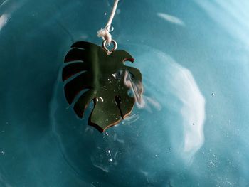 High angle view of fish swimming in sea