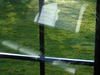 Close-up of grass on field