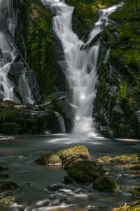 Scenic view of waterfall in forest