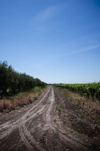 Empty road amidst field against sky