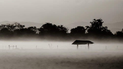 Scenic view of agricultural field in foggy weather