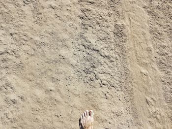 Low section of woman on sand