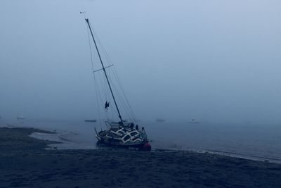 Sailboat sailing on sea against sky