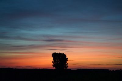 Silhouette trees on field against orange sky