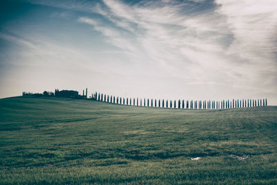 Scenic view of landscape against sky