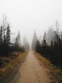 Road amidst trees in forest against sky