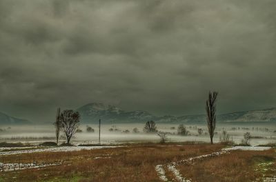 Scenic view of field against cloudy sky