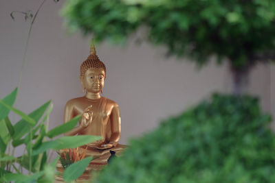 Statue of buddha against plants