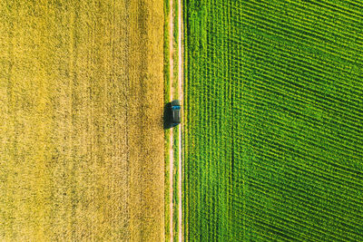 Full frame shot of agricultural field