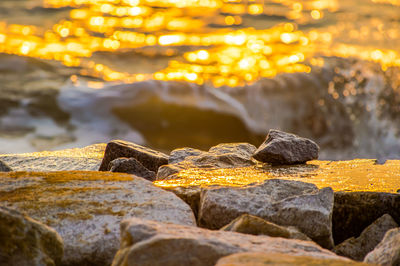 Close-up of rock on sea shore during sunset