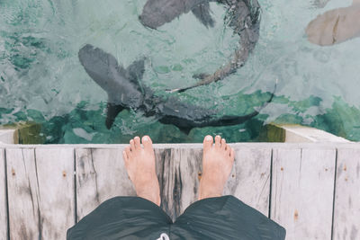 Low section of man standing on pier over fish swimming in lake