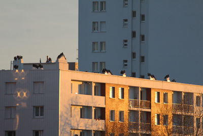 Buildings in city against clear sky