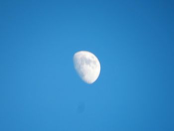 Low angle view of moon in sky