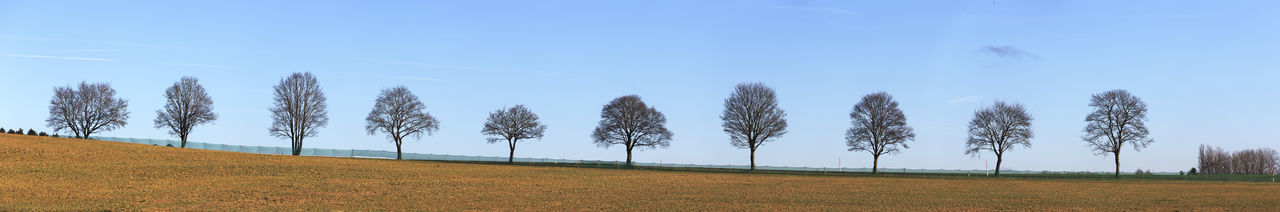 Panoramic view of field against clear blue sky