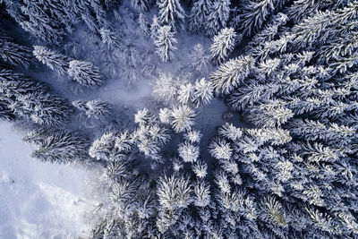 Full frame shot of snowflakes