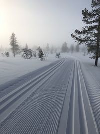 Snow covered trees against sky