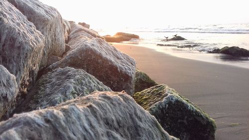 Panoramic view of sea shore against clear sky