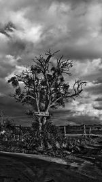 Bare trees on landscape against cloudy sky