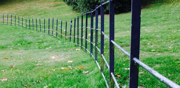 View of gate in field