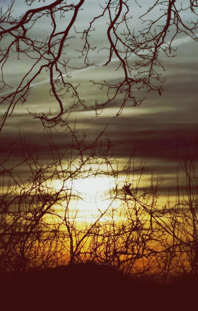 sunset, silhouette, sky, tranquility, bare tree, tranquil scene, scenics, beauty in nature, nature, branch, cloud - sky, idyllic, tree, plant, growth, outdoors, dusk, cloud, landscape, field