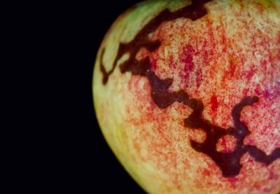 Close-up of apple against black background