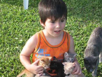 Boy with playing with kittens on grass