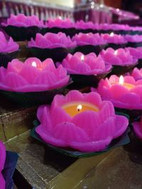 Close-up of pink flowers on table