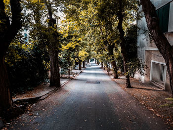 Footpath amidst trees and buildings in city