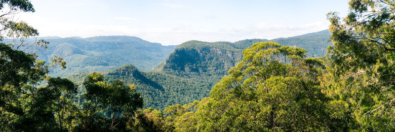 Panoramic view of trees and mountains against sky