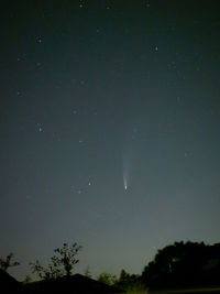 Low angle view of silhouette trees against sky at night